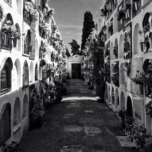 cementiri_interior