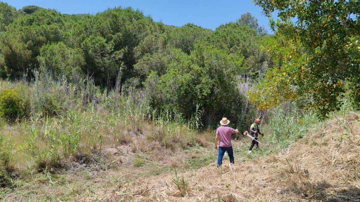 prevenció d'incendis