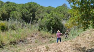 prevenció d'incendis