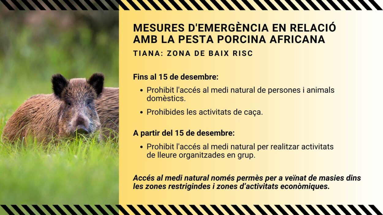 Tiana pesta porcina africana