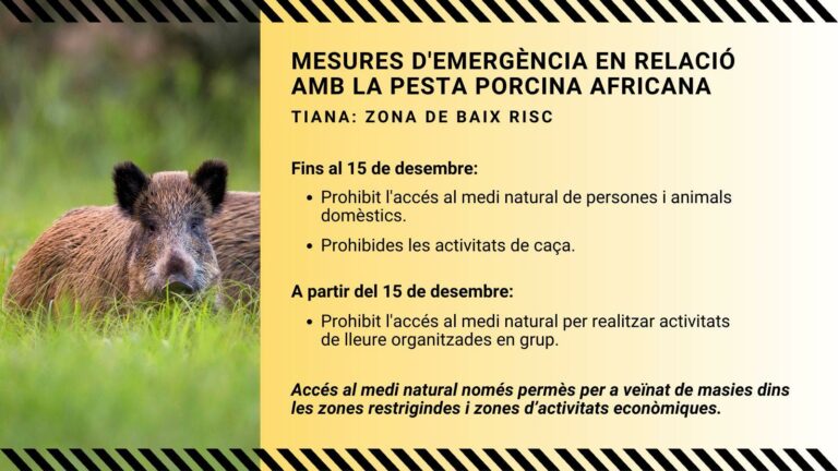 Tiana pesta porcina africana