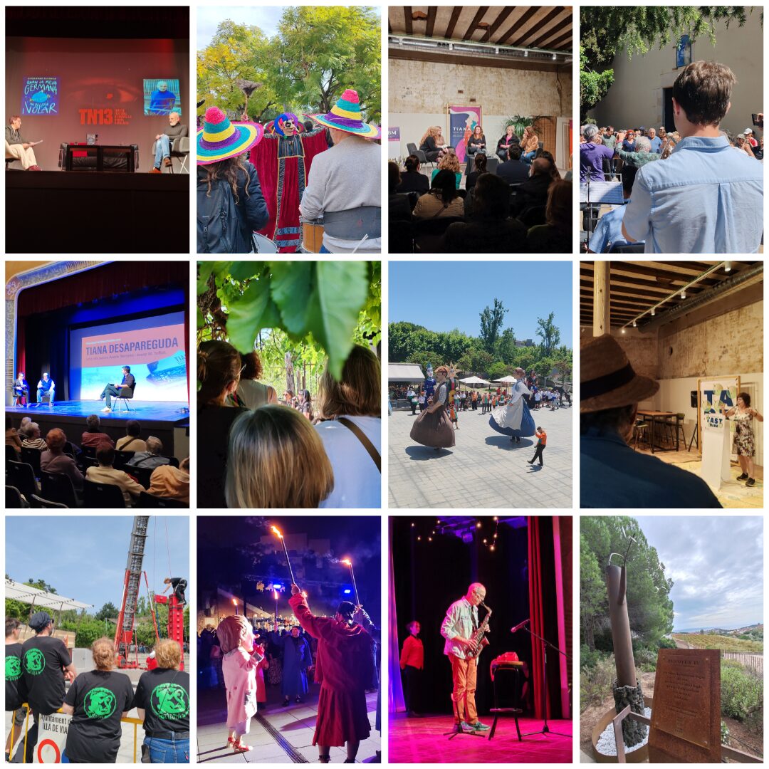 Resum de l'any 2025 a Tiana