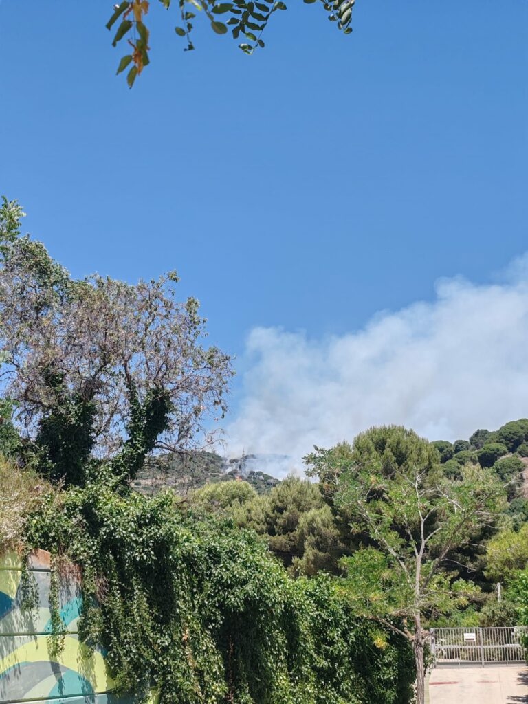 Incendi forestal de Tiana