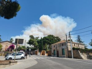 Incendi forestal a Tiana