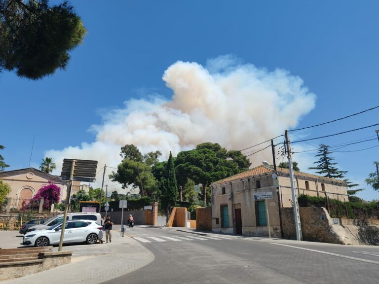 Incendi forestal a Tiana